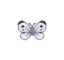 Papillon commun - Animal Crossing : Wild World (DS) [ACWW]
